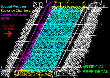 Reef Detail